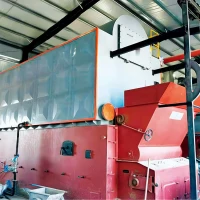 Biomass-Fired Pressurized